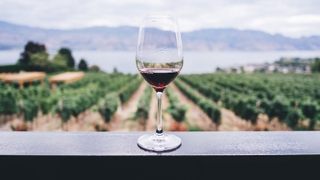 Por qué el diseño de una copa de vino puede afectar el sabor de la bebida